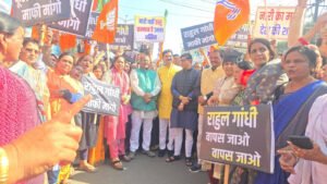 Phool Singh Baraiya Controversy