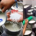 Major revelation regarding synthetic milk!