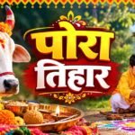 chhattisgarh pola festival