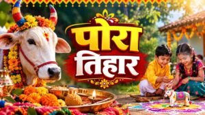 chhattisgarh pola festival 